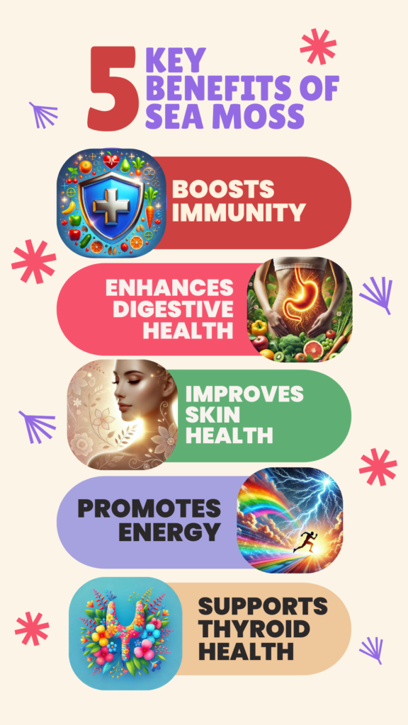 Colorful-5-Tips-Health-Infographic-Instagram-Story-576x1024 Sea Moss Benefits: Unlock the Power of Nature’s Superfood